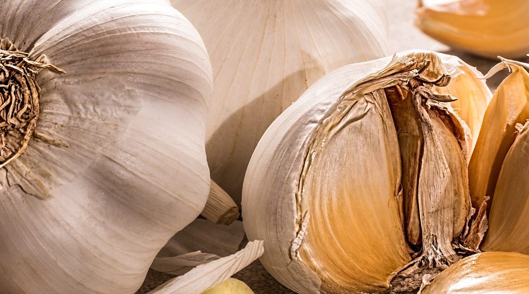 Garlic Decreases Risk of Stomach and Colon Cancer