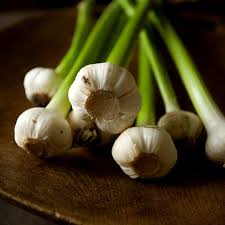 Garlic Decreases Risk of Stomach and Colon Cancer Innate Healthcare Institute