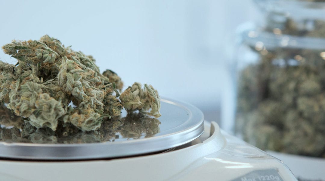 Benefits of Cannabis as a Holistic Pain Management Alternative