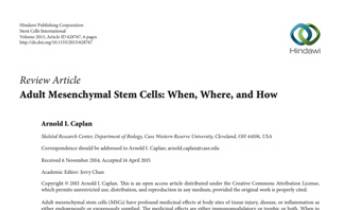Adult Mesenchymal Stem Cells When, Where, and How Innate Healthcare Institute