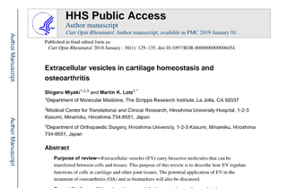 Extracellular vesicles in cartilage homeostasis and osteoarthritis Innate Healthcare Institute