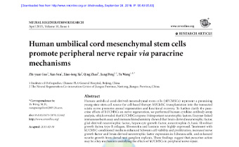 Human umbilical cord mesenchymal stem cells promote peripheral nerve repair via paracrine mechanisms Innate Healthcare Institute