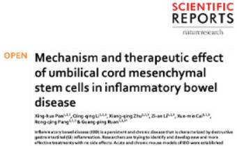 Immunomodulation by Mesenchymal Stem Cells (MSCs)- Mechanisms of Action of Living, Apoptotic, and Dead MSCs Innate Healthcare Institute