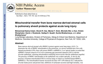 Mitochondrial transfer from bone marrow-derived stromal cells to pulmonary alveoli protects against acute lung injury Innate Healthcare Institute