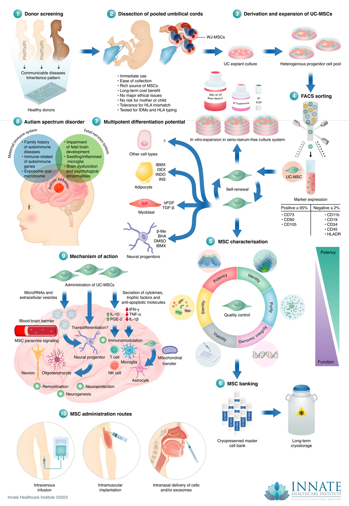 Stem Cell Therapy for Autism FAQ Innate Healthcare Institute